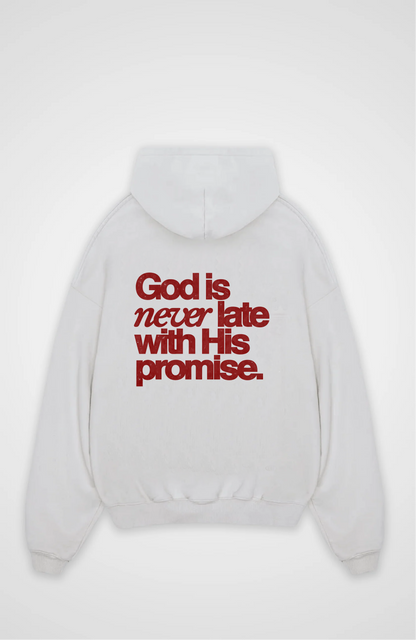 God is never late with his promise Oversized Hoodie