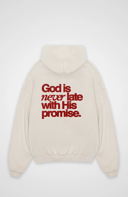 God is never late with his promise Oversized Hoodie